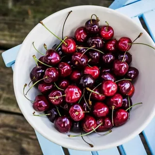 تصویر 2 از فروش گیلاس خشک با هسته، طعمی طبیعی با خواص دارویی